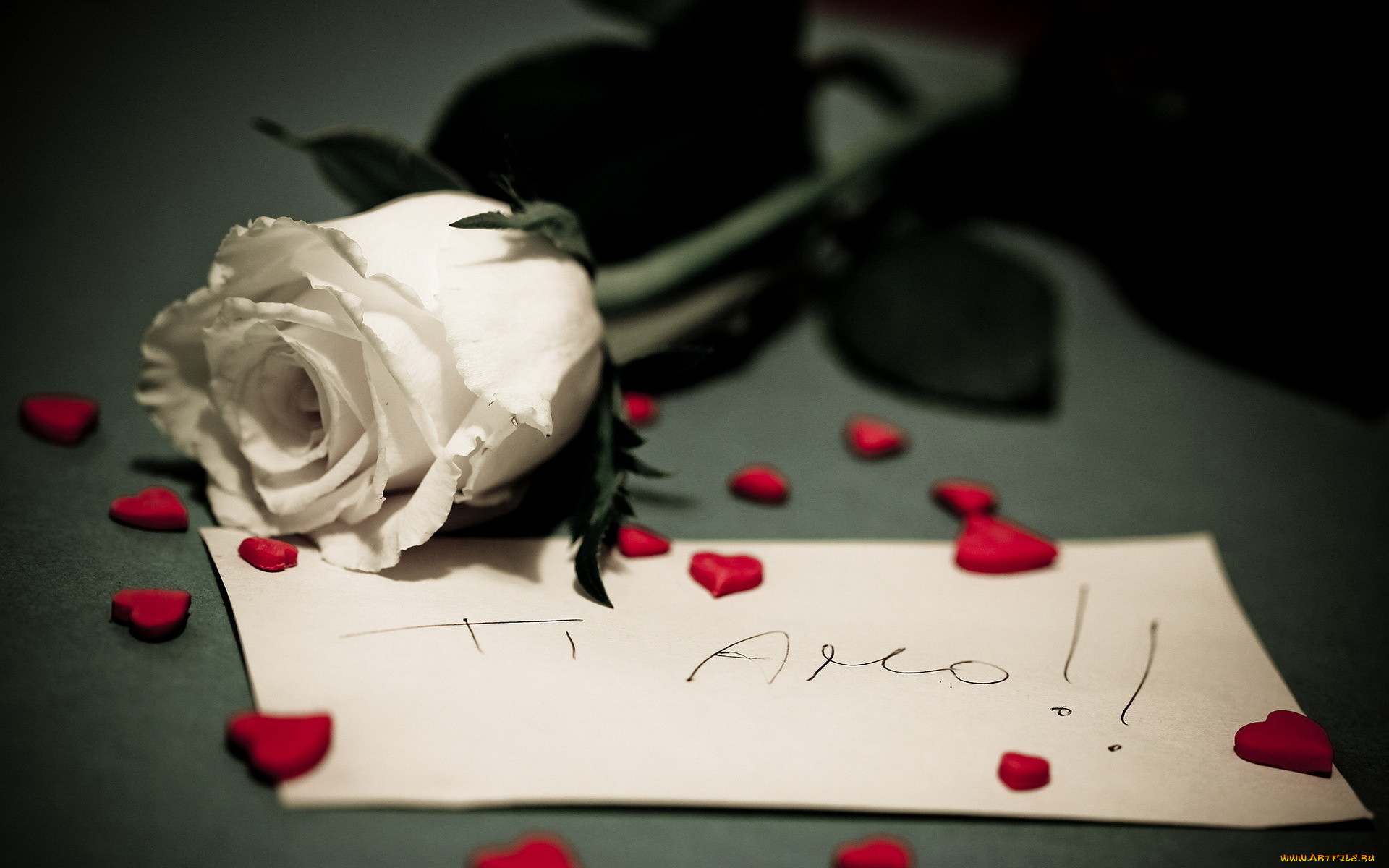 Rose romance. Цветы с запиской. Розы сердечком. "Цветы любви".